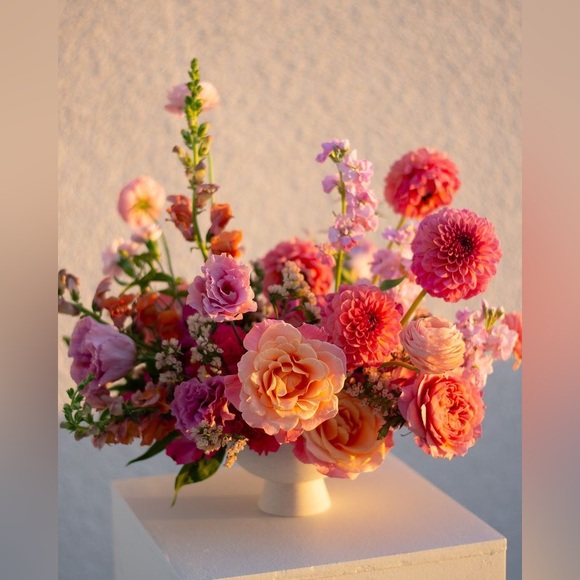 ~Lila - Picture 7 of 12